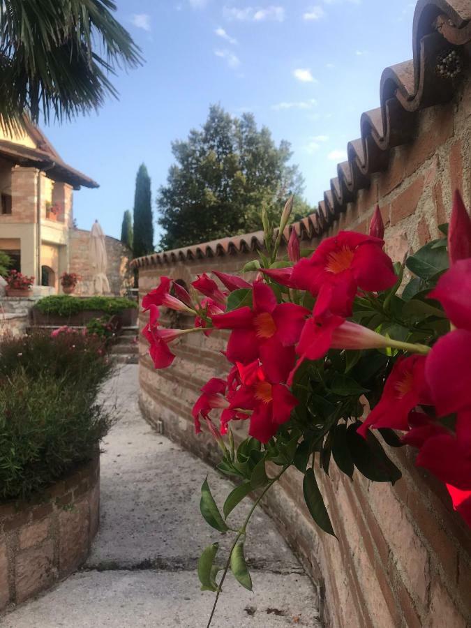 Fossato di Vico Residenza Le Querce Trilocaleヴィラ エクステリア 写真